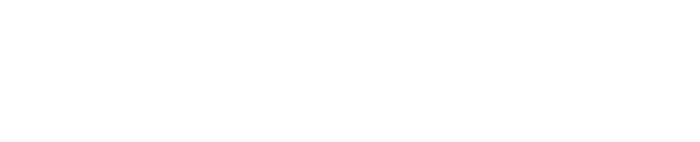 Playne - logo