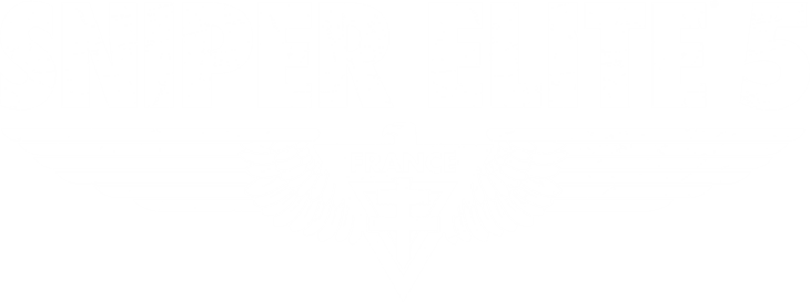 Sniper Elite 5 - logo